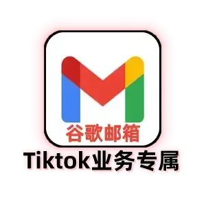 TikTok 业务用 Google 邮箱｜独享可改密