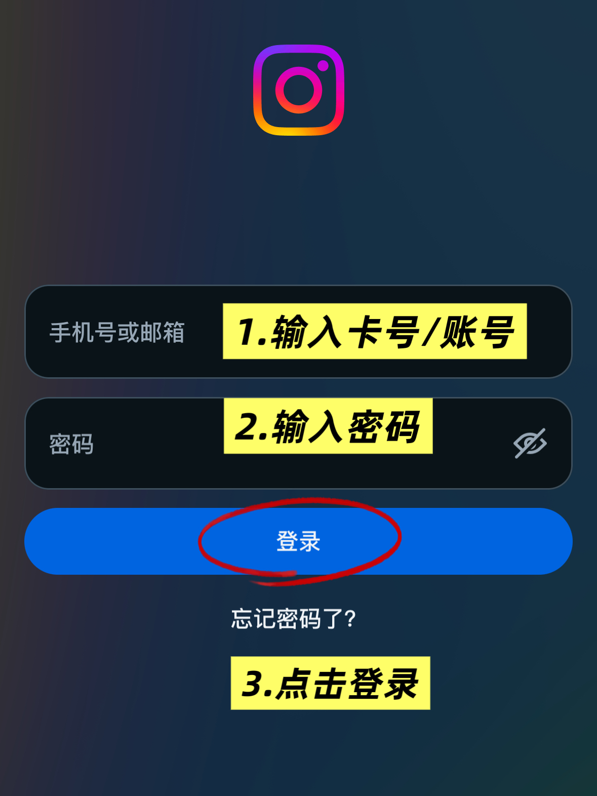Instagram 登录界面填写账号与密码的截图